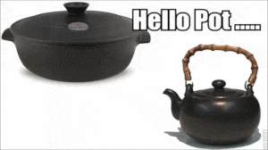 IMG_4491.gif