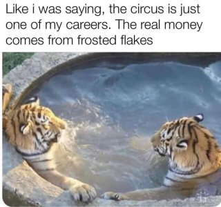 IMG_3617.jpeg