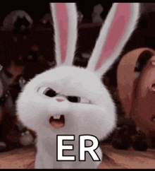 IMG_2253.gif
