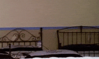 1754070928672.gif