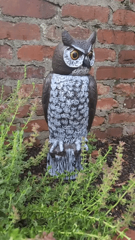 1754082413320.gif