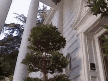 1754095992716.gif