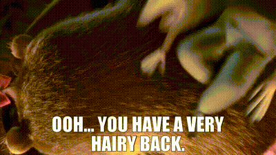 ff9ee0ab-be3f-47c3-b11e-7c7d1e79367f_text.gif