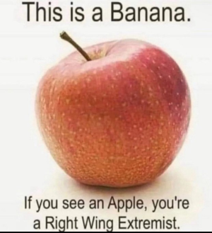 1754142340324.png