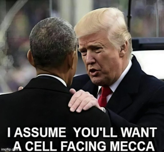 1754144771597.png