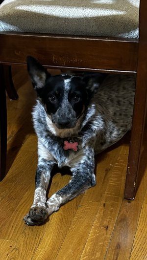 IMG_3055.jpeg