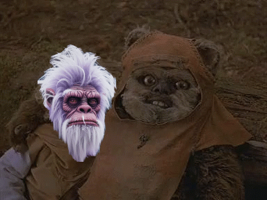 20250220_141058.gif