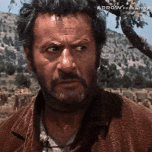 1754169282831.gif
