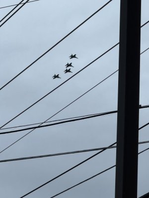 IMG_1317.jpeg