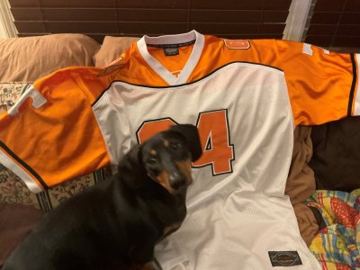 jersey.jpg