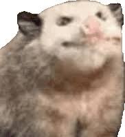 1754229559812.jpeg