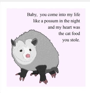 IMG_1325.jpeg