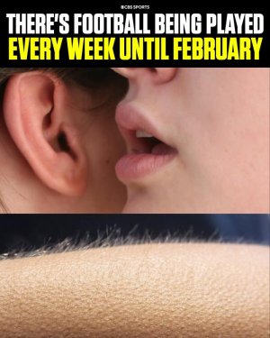 1000011245.jpg