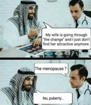 1754530077201.png