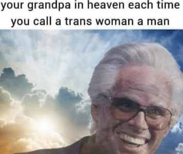 1754530566985.png
