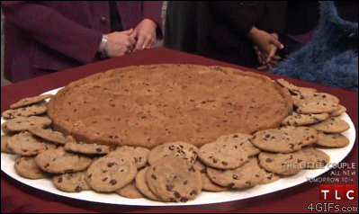 giphy-23.gif