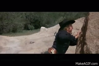 IMG_1416.gif