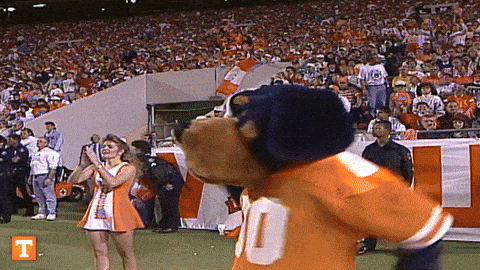 giphy-downsized-medium (1).gif