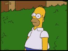 1754761443133.gif
