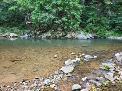 20250809_173950.jpg