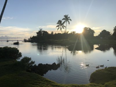 IMG_0544.jpeg