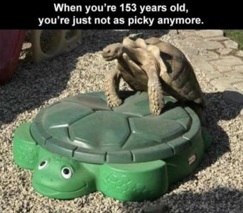 1000005134.jpg