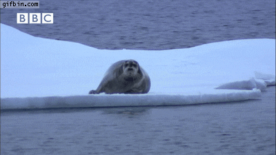 1754991446853.gif