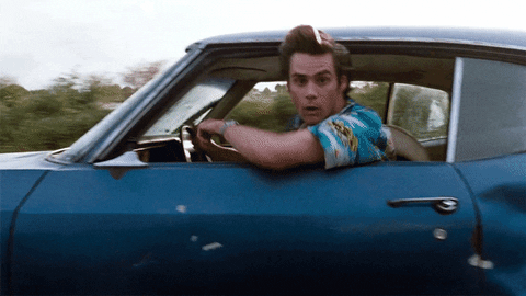 1000000561.gif