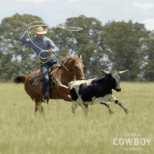 Steer Man.gif