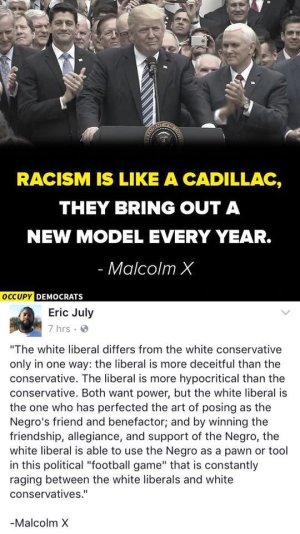 white liberal malcom x.jpg