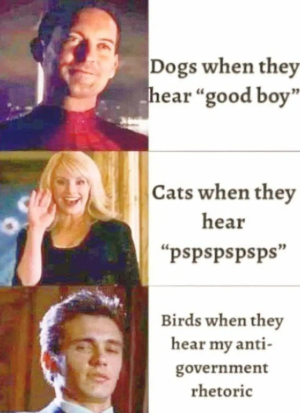 1755274074787.png