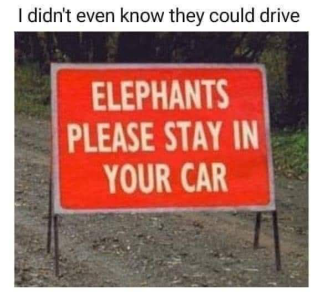 1755274541630.png