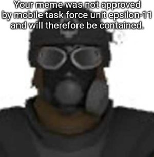 mobile-task-force-unit-epsilon-11-response-meme-v0-6720u8qs24xc1.jpg