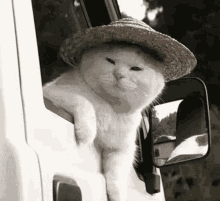 1755389660259.gif