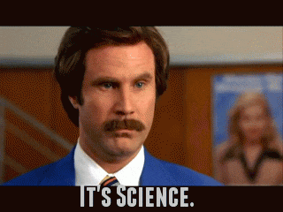 298f69a6-5674-430f-a44f-c368dd453a10-1_all_39.gif