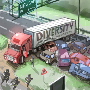diversity is our strength crash.png