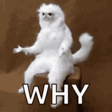 1755644351933.png