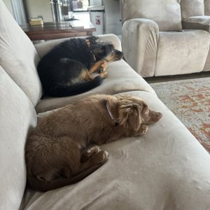 IMG_2836.jpeg