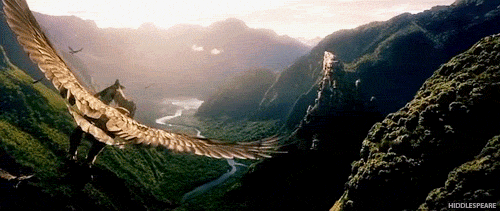 IMG_1675.gif