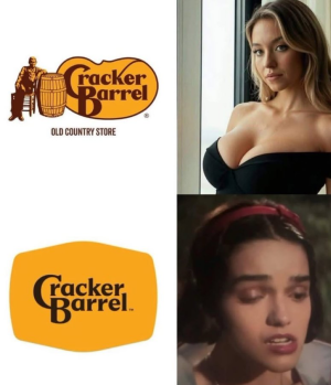 1755807872575.png