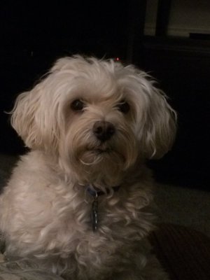 IMG_3200.jpeg