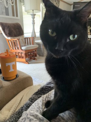 IMG_4862.jpeg