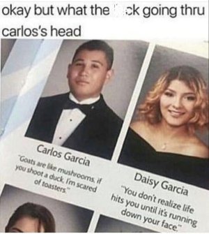 2d2b93c2d035d057fa4fbac774621c7e.jpg