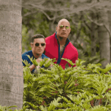 IMG_1058.gif