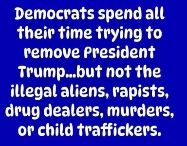 democrats don't care about crime or economic drain.jpg
