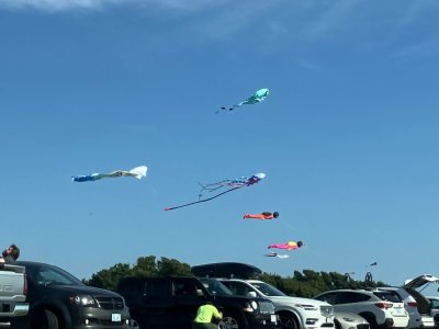 IMG_9253.jpeg