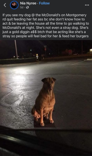 1756164154150.png