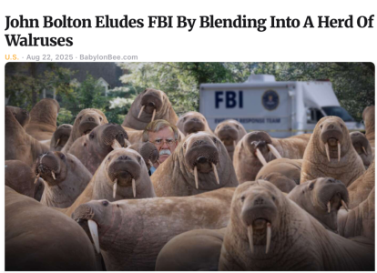 1756171194545.png