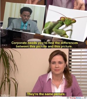 1000005290.jpg