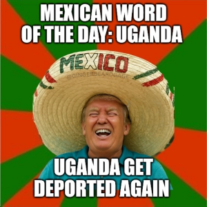 1756213134044.png